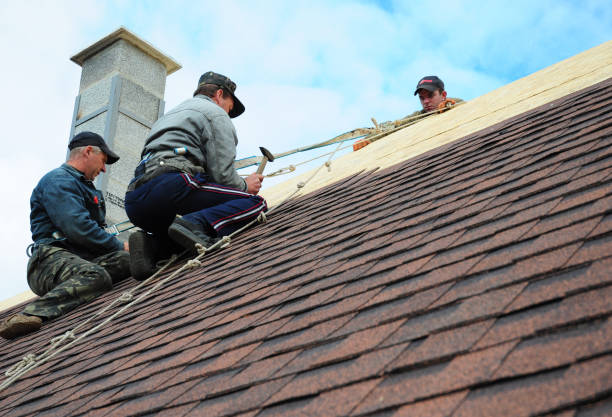 Best Metal Roofing Contractor  in Olney, IL