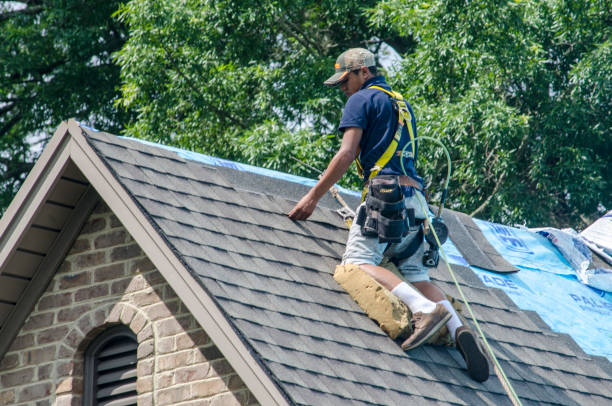 Best Emergency Roof Repair  in Olney, IL